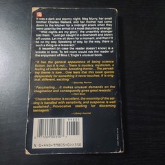 DAMAGED Wrinkle in Time Madeleine L’Engle 1976 Dell Laurel Leaf STRANGER THINGS