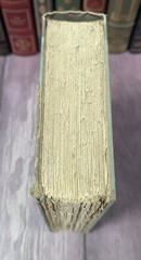 Americanization of Edward Bok – SIGNED Limited Edition – Nimaha Edition 1922
