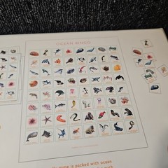 Ocean Bingo by Holly Exley Sealed