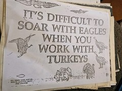24 Old Jokes 1940s-1980s Dads Collection