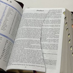 NIV Bible English/Korean Study Bible Brown Zipper-Red Letter Word of Life Press