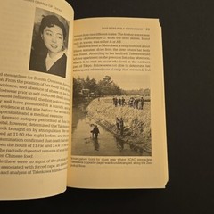 Shocking Crimes of Postwar Japan by Mark Schreiber (1996, Trade Paperback)