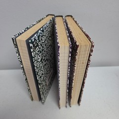 Skeleton Creek Patrick Carman Ryans Journal Books 2 3 4 Ghost Raven Crossbones