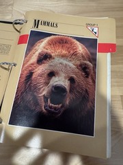 Wildlife Fact File Card Set Group 1-2 Binder Mammals Birds Near Complete