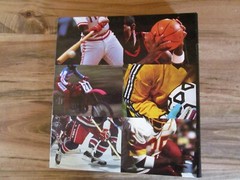Sports Pages The Book for Fans 1996 Newfield, Binder, 10 Divider Tabs, 50 Pages