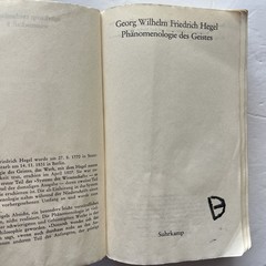 Hegel Phanomenologie des Geistes Suhrkamp Taschenbuch Wissenchaft GERMAN PB