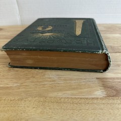 Herodotus For Boys and Girls John S. White 1884 Illustrated G. P. Putnam’s Sons