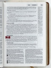 2006 TNIV Study Bible. European Leather HC VG