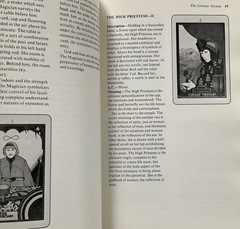 The Windows of Tarot F. D. Graves Morgan & Morgan 1973 Book Trade PB VGC