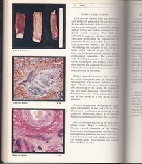 Color Atlas of Pathology Vol. I, II & III