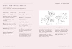 The Everyday Naturalist: How to Identify Animals, Plants, and Fungi Wherever You
