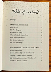 Holy Moments A Handbook for the Rest of Your Life Matthew Kelly + Free Gift 🙏