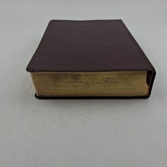 The Quest Study Bible New International Version Bonded Leather Large Print