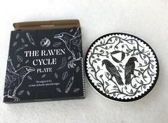 FairyLoot August 2024 YA Full Box: The Girl With No Reflection~Keshe Chow