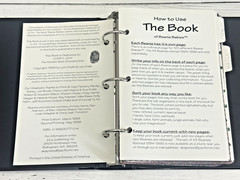 ’THE BOOK of Ty BEANIE BABIES’ by LYNN & LEE DRALLE to CATALOG COLLECTIONS