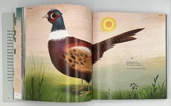 Sing A Song Of Seasons Fiona Waters Nosy Crow HC Multicolor 2018 China