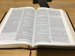 Holy Bible: People’s Parallel Edition King James Version New Living Translation,