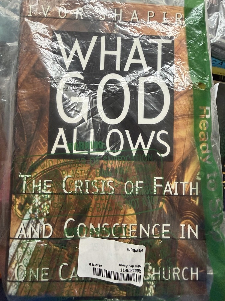What God Allows The Crisis Of Faith And Conscience In One Catholic Church