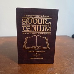 Schottenstein Siddur & Tehillim Interlinear Translation 3 Vol Set HC