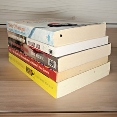Book Lot ~ Trade Paperbacks ~ Fiction ~ Bundle ~ Mixed Titles ~ 5 Books