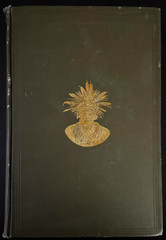 28th and 29th Annual Report of the Bureau of American Ethnology 1906-1908