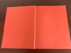 Phantastisches (Fantastic), Jewish themes in early masterpieces, German, EX