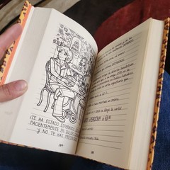 DIARIO DE NIKKI # 9 UNA REINA DEL DRAMA CON MUCHOS HUMOS/ By Rachel Renee