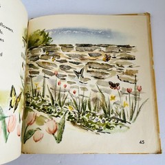 What Is A Butterfly Book 1958 Gene Darby What Is It Series Vintage MCM Science
