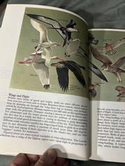 James Fisher and Roger Tory Peterson’s World of Birds