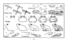 What To Draw And How To Draw It „1913” 76 Pages