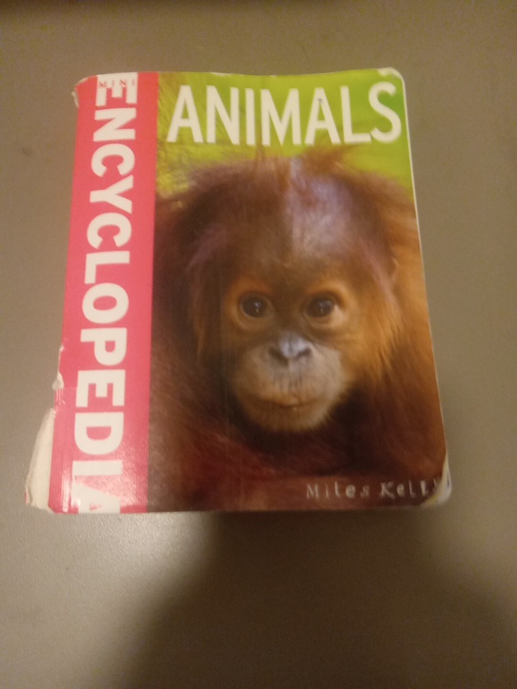 Animals by Camilla De la Bédoyère (Hardcover)