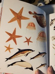 Seashore Sticker Anthology : with more than 1000 Vintage Drawings/Stickers