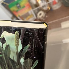 Aroids : Plants of the Arum Family by Deni Bown (2000, Hardcover)