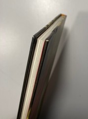The Very Persistent Gappers Of Frip – George Saunders/Lane Smith 1st Edition HD