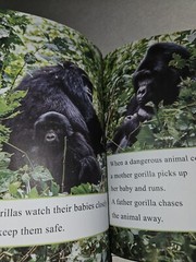I Can Read Level 1 Ser.: Ranger Rick: I Wish I Was a Gorilla by Jennifer Bové…