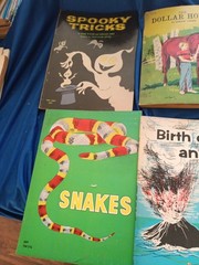 Vintage- 10 Scholastic Children’s Books Mixed Lot Very Good Condition see photo