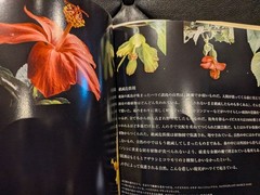 Hawaiian Spirits Kazuyoshi Miyoshi Signed Art Book 6.3×8.3in
