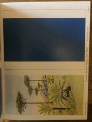Lot of 2 Cut & Assemble Books Medieval Castle + Dinosaur Dioramas VTG Activity