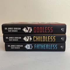 Christian Faith Book Lot 3 – Fatherless Childless Godless LIKE NEW Condition