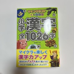 All 1026 Elementary School Kanji Learning Book Minecraf NEW from Japan