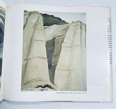 Georgia O Keeffe Art and Life Castro Book with 136 Color Illustrations Edition