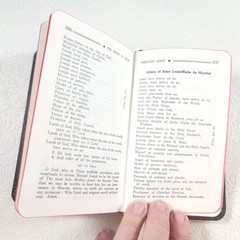 The Reign of Jesus Through Mary Prayer Book Revised Edition 1983 Gabriel Denis