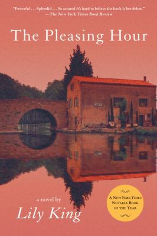 The Pleasing Hour Paperback Lily King