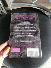James Patterson The Kiss Paperback