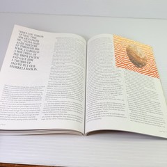 Lucky Peach Issue 12 : Seashore 2014 PB Nice!