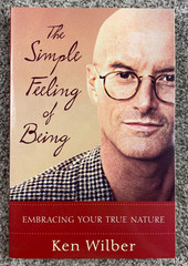 KEN WILBER Lot (9) 8 Books & DVD Set Quantum Questions Essential In Dialogue ++