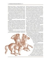 Ukrainian Book. New. Еволюція українського вбрання. Сторінки історії.