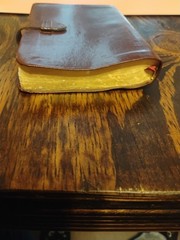 Slimline Reference Bible NLT New Living Translation by Tyndale Burgundy leather