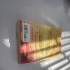 Penguin This Summer Will Be Different by Carley Fortune Paperback Fiction Novel
