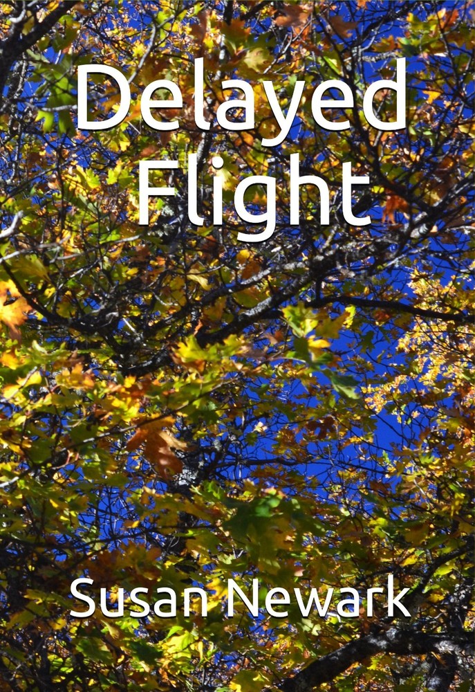 Susan Newark DELAYED FLIGHT Fiction Modern Literature Novella Story NEW